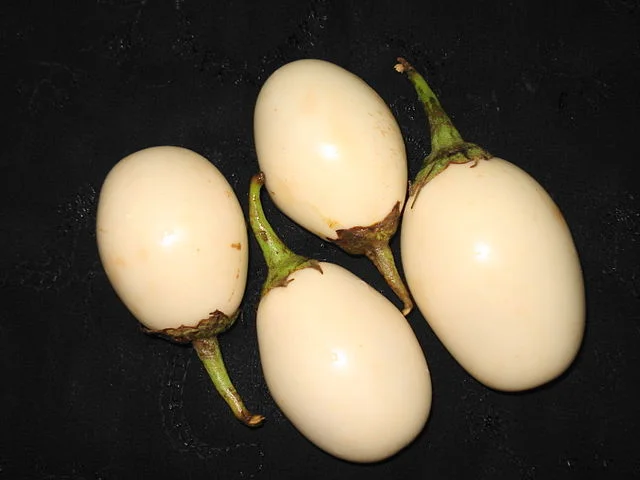Purple Powerhouses: Guide to Growing Eggplants 3 Purple Powerhouses: Guide to Growing Eggplants