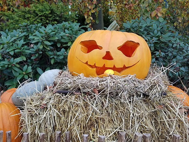 640px halloween pumpkin in liseberg 1