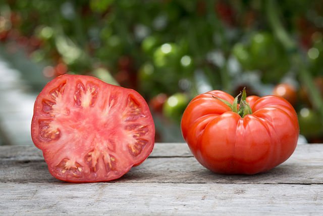 Basics of Growing Tomatoes