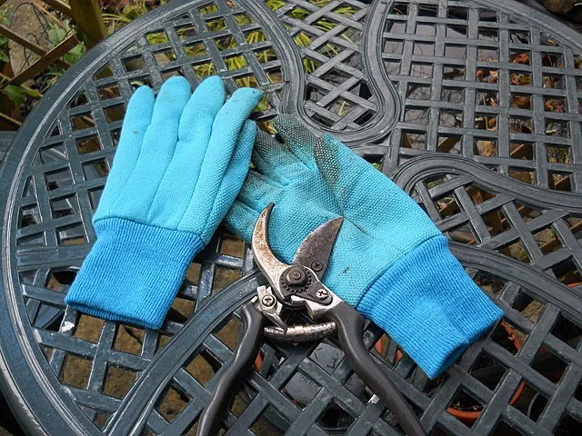 640px my trusty gardening gloves secateurs which need a good clean by the look of them 8711272274