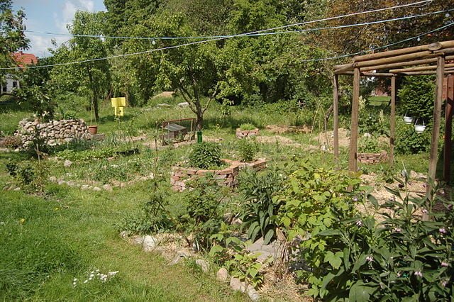 Permaculture Gardening: Harmonizing with Nature