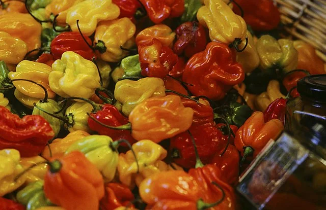 Ignite Your Garden: The Ultimate Guide to Growing Habaneros at Home 5 Ignite Your Garden: The Ultimate Guide to Growing Habaneros at Home