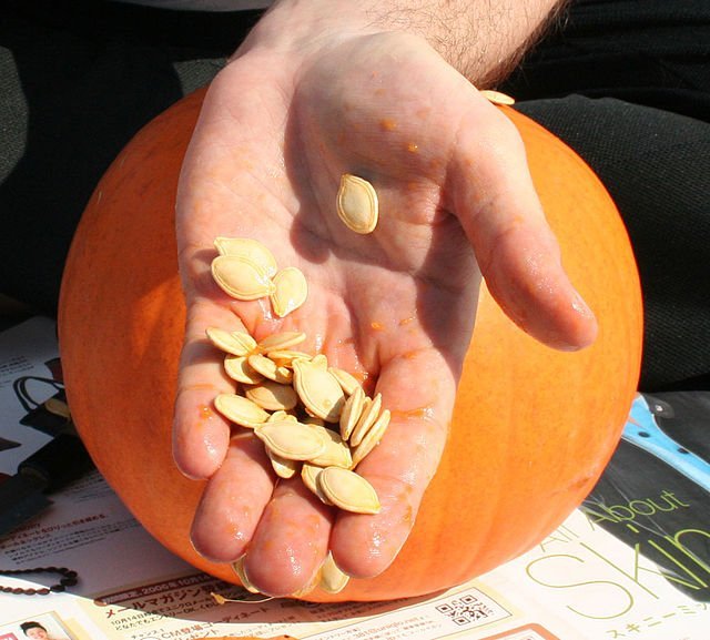 640px pumpkin seeds in hand