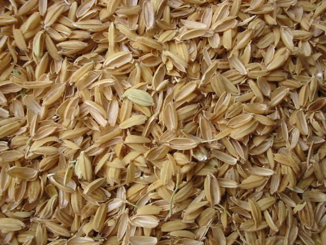 640px rice chaffs