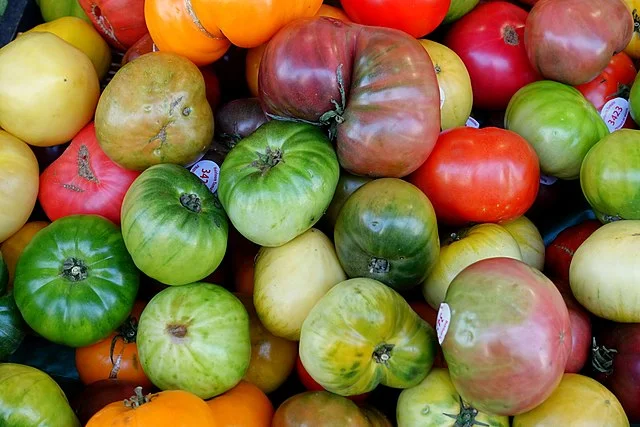7 Tomato Tips to Growing Unbelievably Juicy Tomatoes in Your Own Backyard 1 640px tomatoes heirloom san francisco ca dsc02392