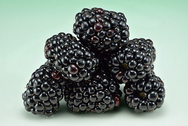 Growing Blackberries: A Guide to Cultivating Sweet and Juicy Berries