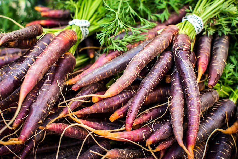 carrots close up colorful farmers market