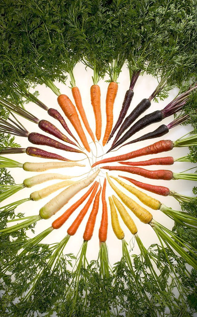 Carrots: Cultivating Crunchy and Delicious Roots