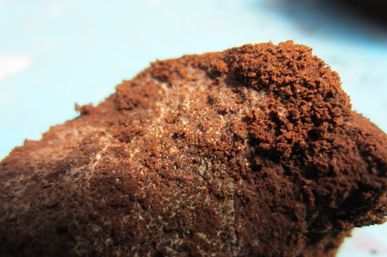 7 Surprising Uses of Coffee Grounds in Your Garden