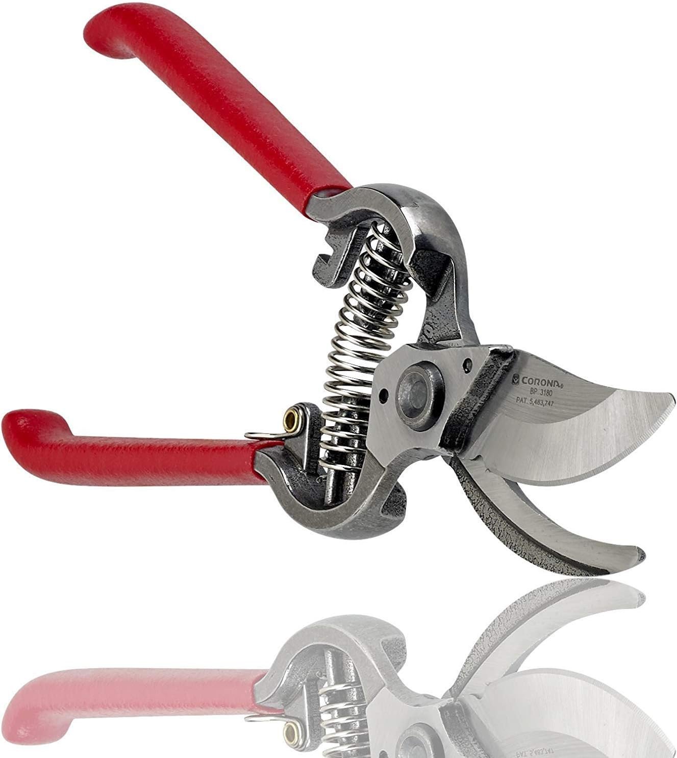 Best Pruning Shears: Tools for Precise and Effortless Pruning 6 image 16
