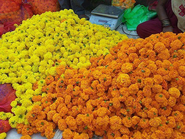 marigoldflowers 2