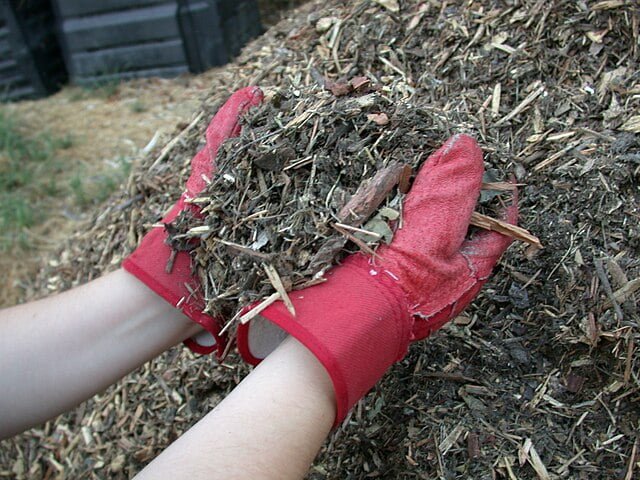 a pair of hands grabbing mulch