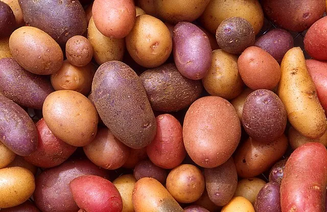 How to Grow Potatoes
