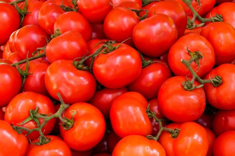 Determinate Tomatoes