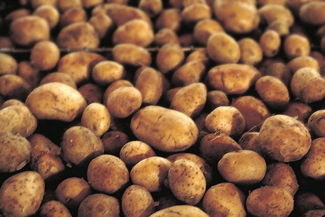 potatoes