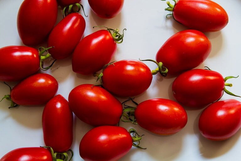 San Marzano Tomatoes: The Crown Jewel of Italian Cuisine