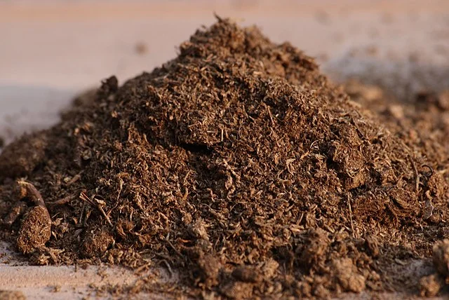 The Incredible Role of Peat Moss in Gardening 5 The Incredible Role of Peat Moss in Gardening