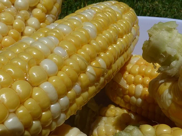 Corn Varieties: A Maize of Choices 7 Corn Varieties: A Maize of Choices