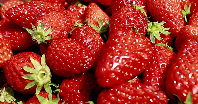 Planting Strawberries: A Step-by-Step Guide for Beginners