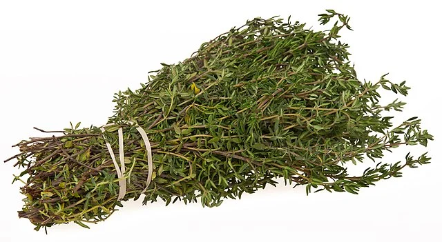 Unlocking Flavors: A Comprehensive Guide to Drying Herbs 6 Unlocking Flavors: A Comprehensive Guide to Drying Herbs