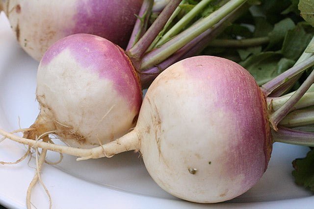 Cultivating a Bounty: Your Guide to Growing Turnips