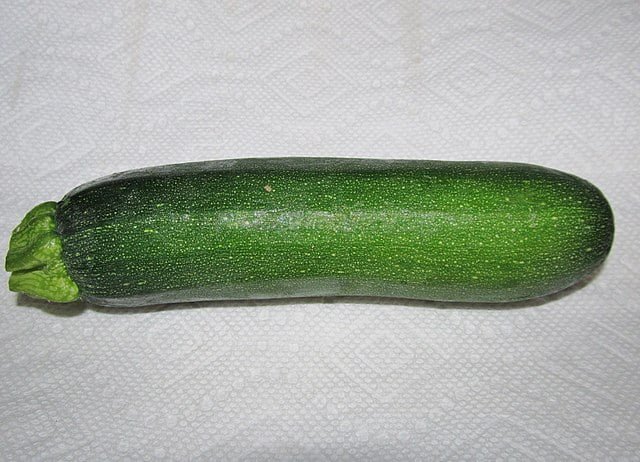 Cultivating the Versatile Vegetable: A Guide to Growing Zucchini