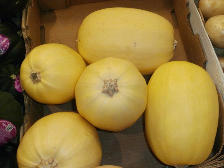 How to Grow Spaghetti Squash: A Comprehensive Guide