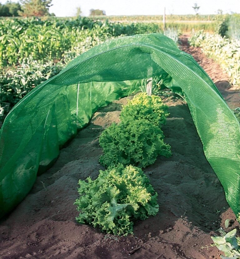 How to Use Shade Cloth in Your Garden