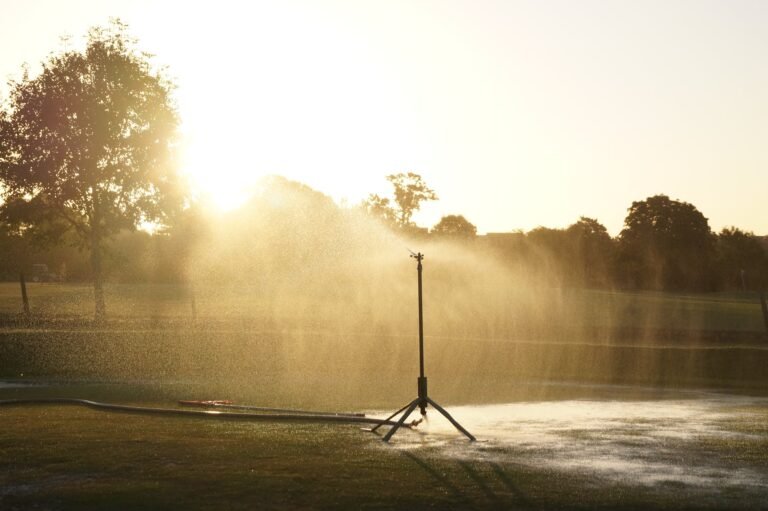 grass lawn park sprinkler