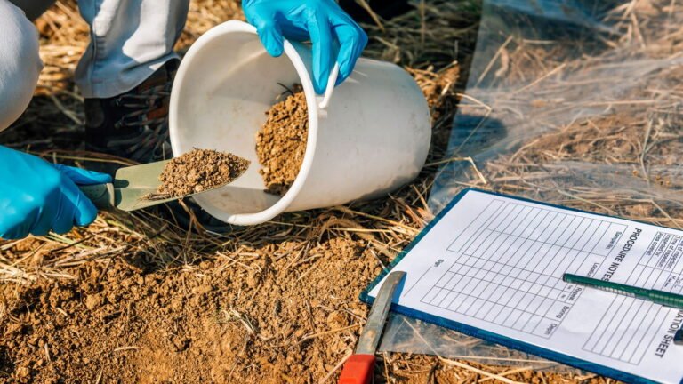 Unearth the Secrets of Your Garden: The Ultimate Guide to Soil Testing