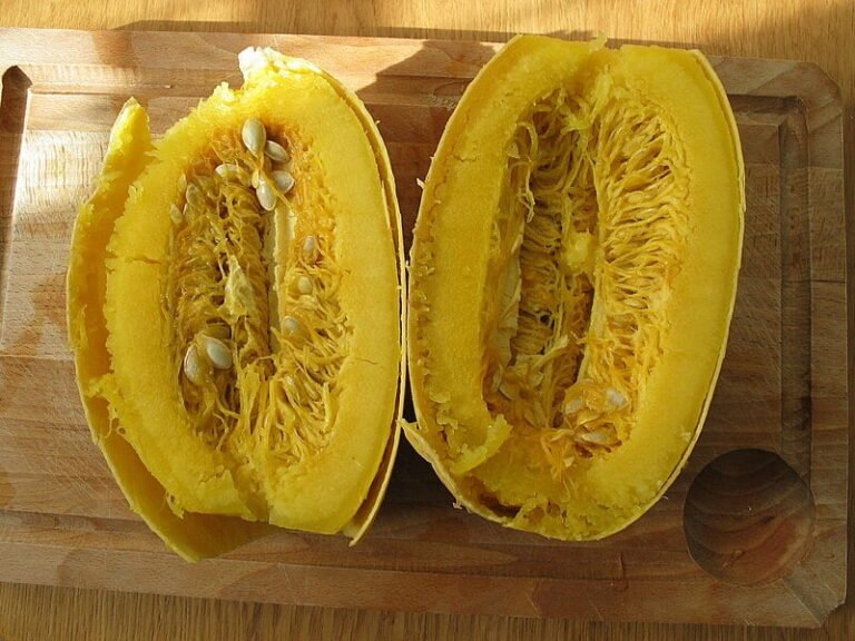 Spaghetti Squash Primavera: A Garden-Fresh Twist on an Italian Classic