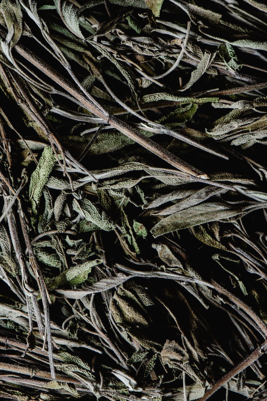 close up photo of dried sage