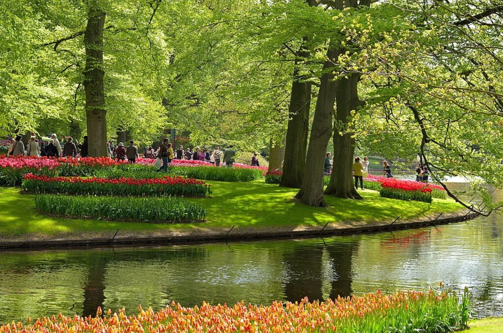 1087px Keukenhof panoramio 82