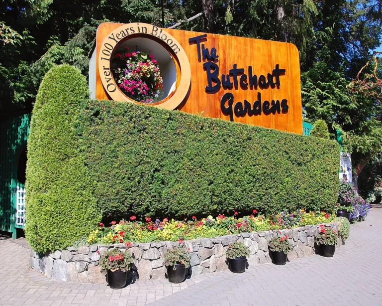 Butchart Gardens: A Horticultural Masterpiece