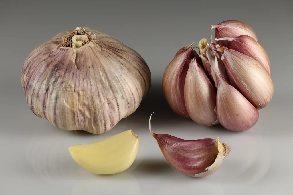 Guide to Growing Garlic: From Clove to Culinary Delight 2 Garlic bulbs and cloves
