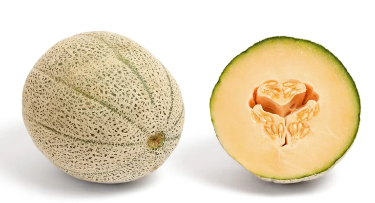 Cantaloupe: A Guide to Sweet Summer Success