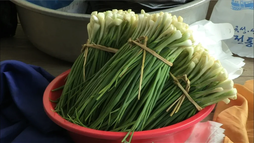 bundle of walking egyptian onions