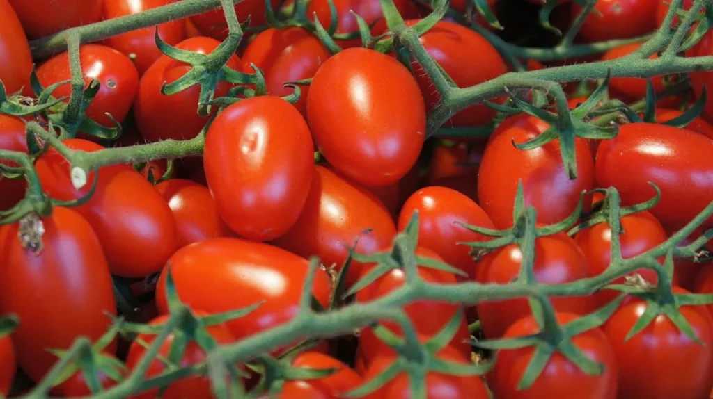 grape tomatoes