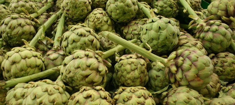 Artichokes: A Gardener’s Guide to Harvesting the Edible Thistle