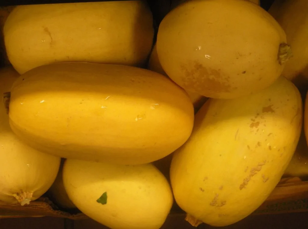 spaghetti squash