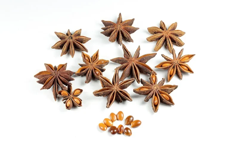 Cultivating Anise: A Comprehensive Guide for Gardeners