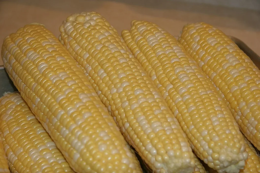 sweet corn on the cob