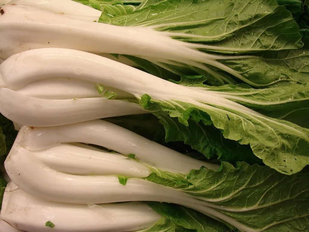 bok choy 2