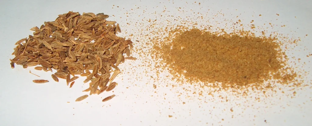 Cumin spice