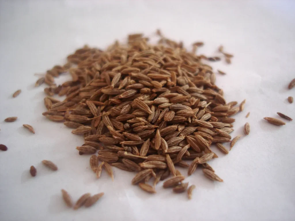 Cumin Seeds