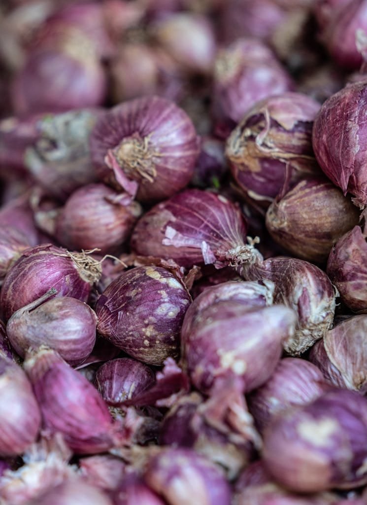 Rediscovering Growing Heirloom Vegetables: A Guide to Growing and Saving Seeds 3 A detailed close-up of red onions showcasing their texture and freshness.