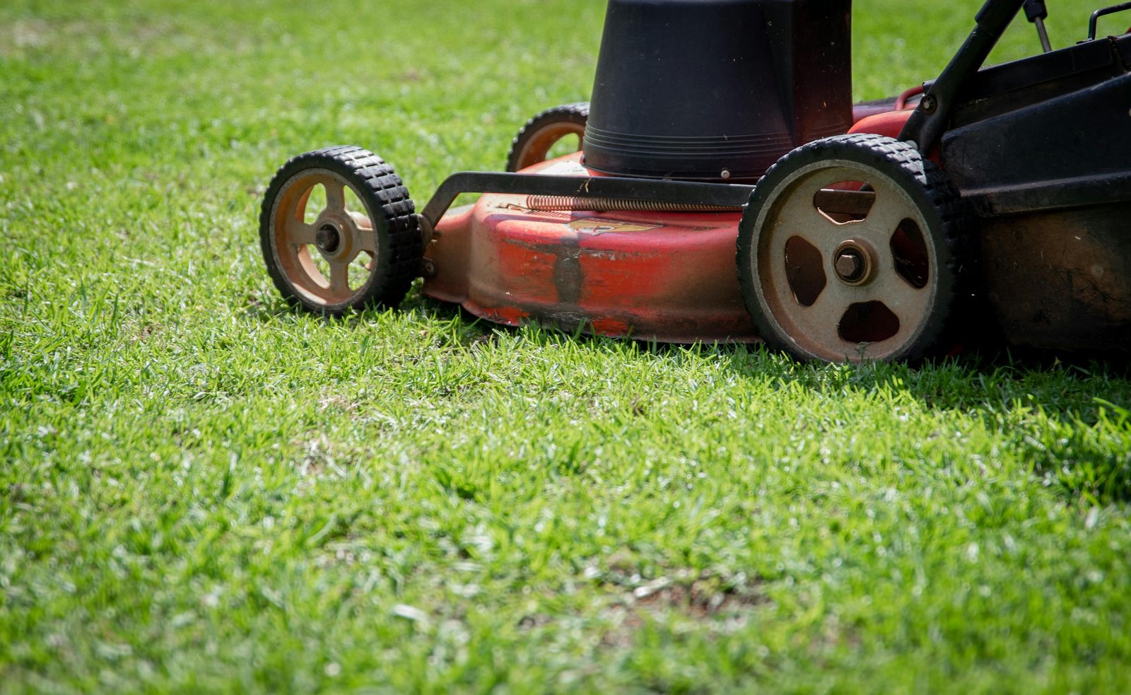 Photo showing a close-up of a lawn mower cutting fresh green grass on a sunny day.