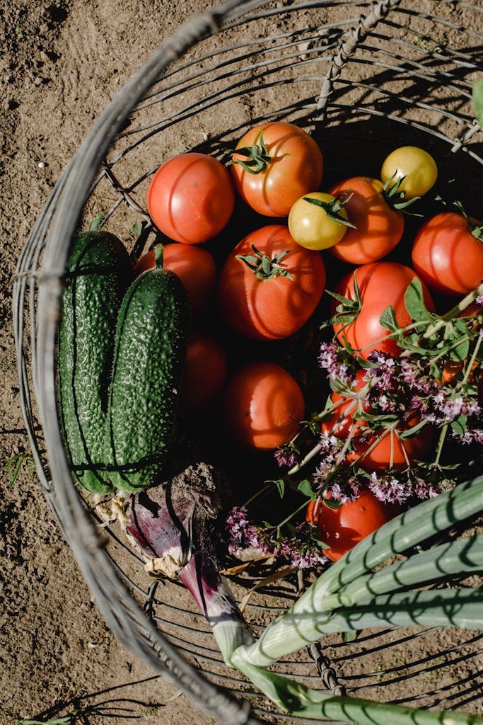 Rediscovering Growing Heirloom Vegetables: A Guide to Growing and Saving Seeds 2 Top view of organic vegetables in a metal basket on soil, featuring tomatoes, cucumbers, and herbs.