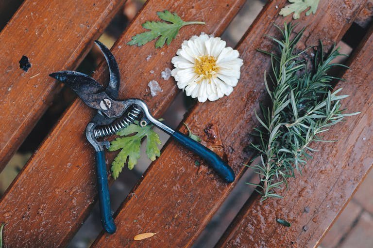 Best Pruning Shears: Tools for Precise and Effortless Pruning 2 Overhead view of garden pruner, white flower, and rosemary on a wooden bench.